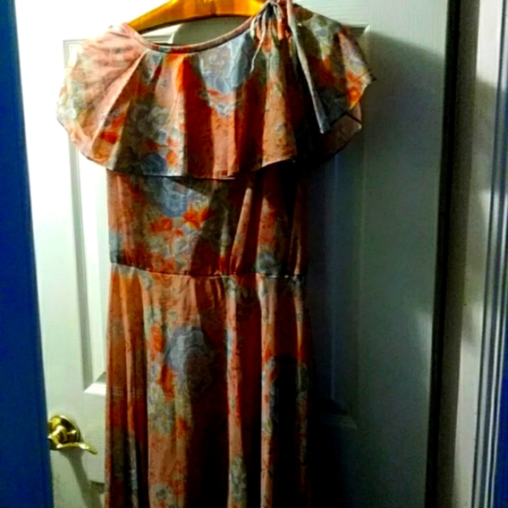 Vintage amy deb dress sheer